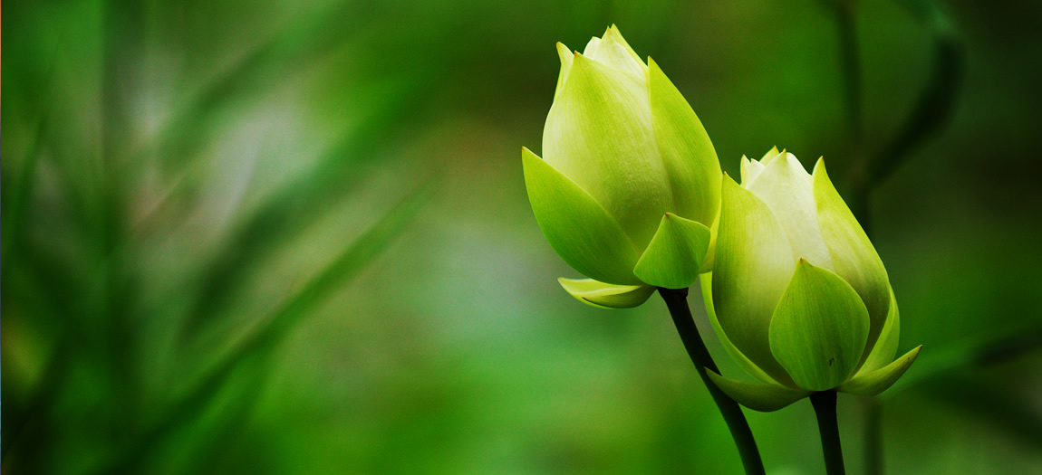 Meditation moment by Ma Deva Nidhi